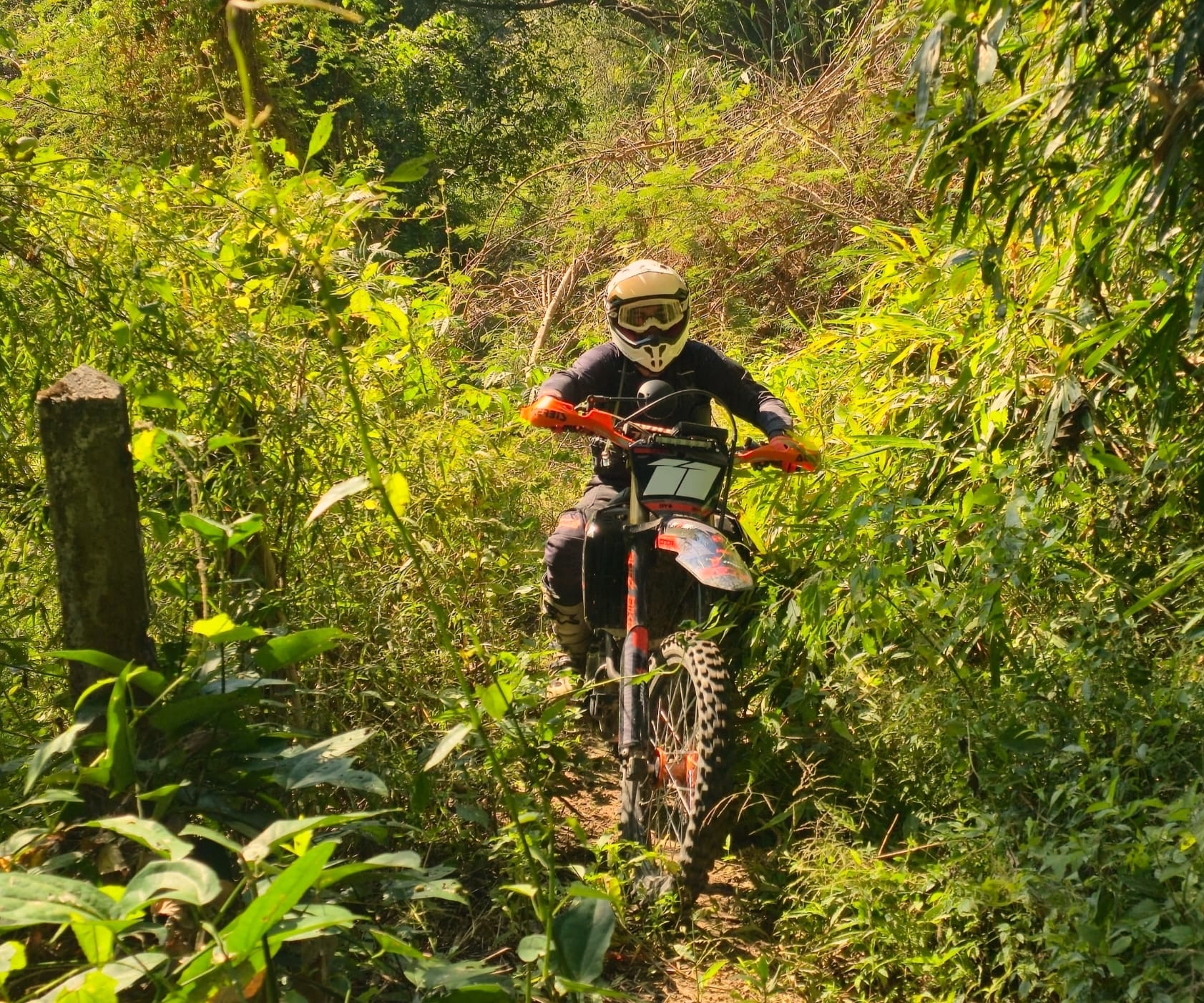 Intermediate jungle enduro ride